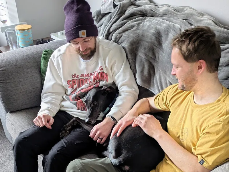 A black greyhound curls up small on the sofa between two people