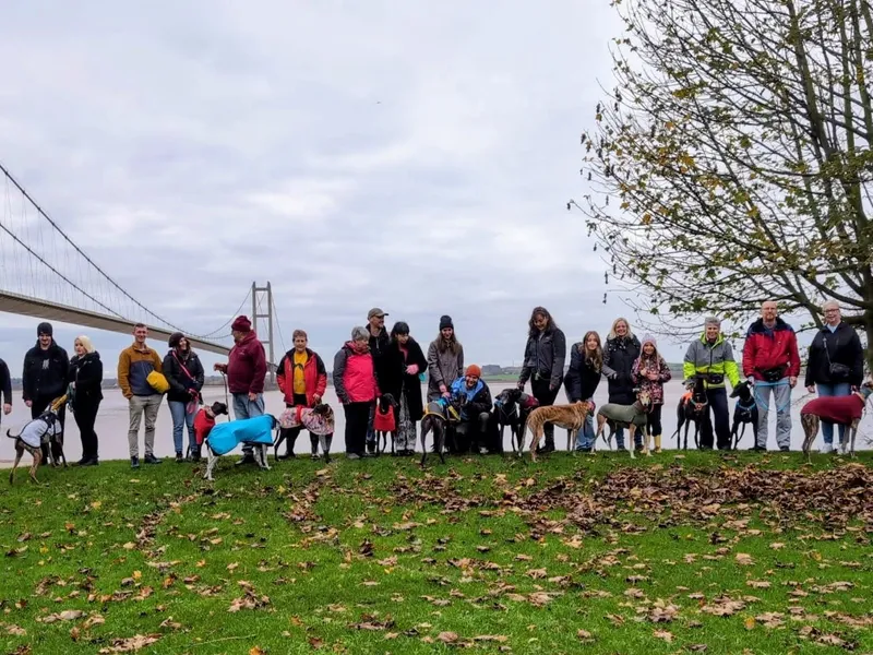 About a dozen greyhounds and their owners pose for a picture; there is a bridge in the background