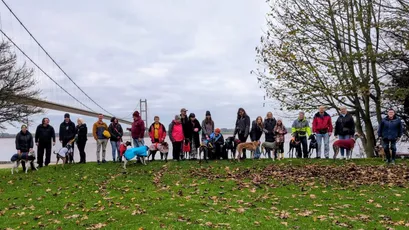 Great Global Greyhound Walk 2026: when, where and how to take part
