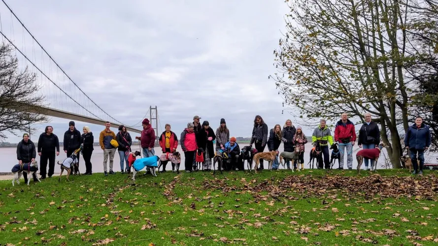 Great Global Greyhound Walk 2026: when, where and how to take part