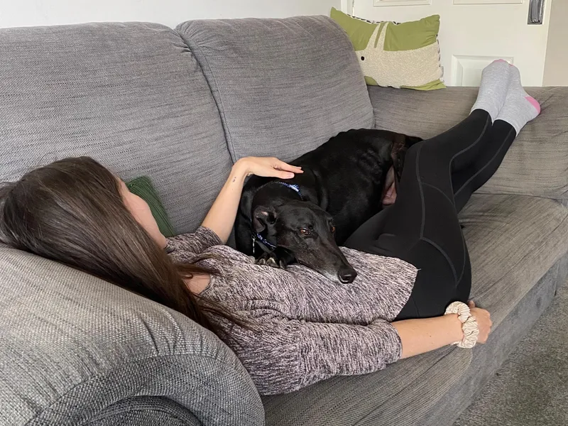 A black greyhound snuggles up to their owner on the sofa, lying side by side
