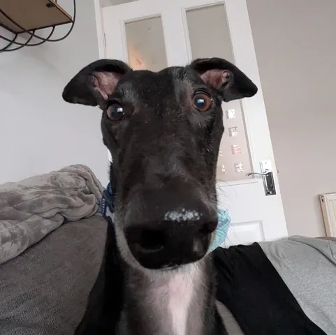 Got something you'd like to share?